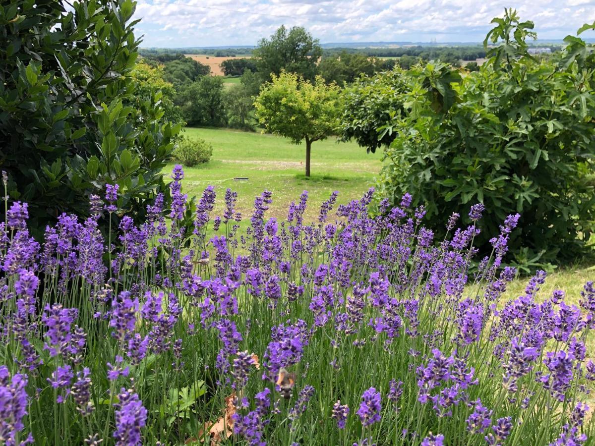 La Ferme Buissonniere Bed & Breakfast Bardou Luaran gambar