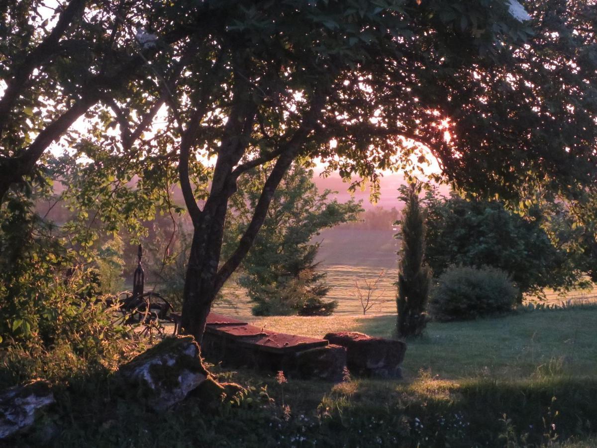La Ferme Buissonniere Bed & Breakfast Bardou Luaran gambar