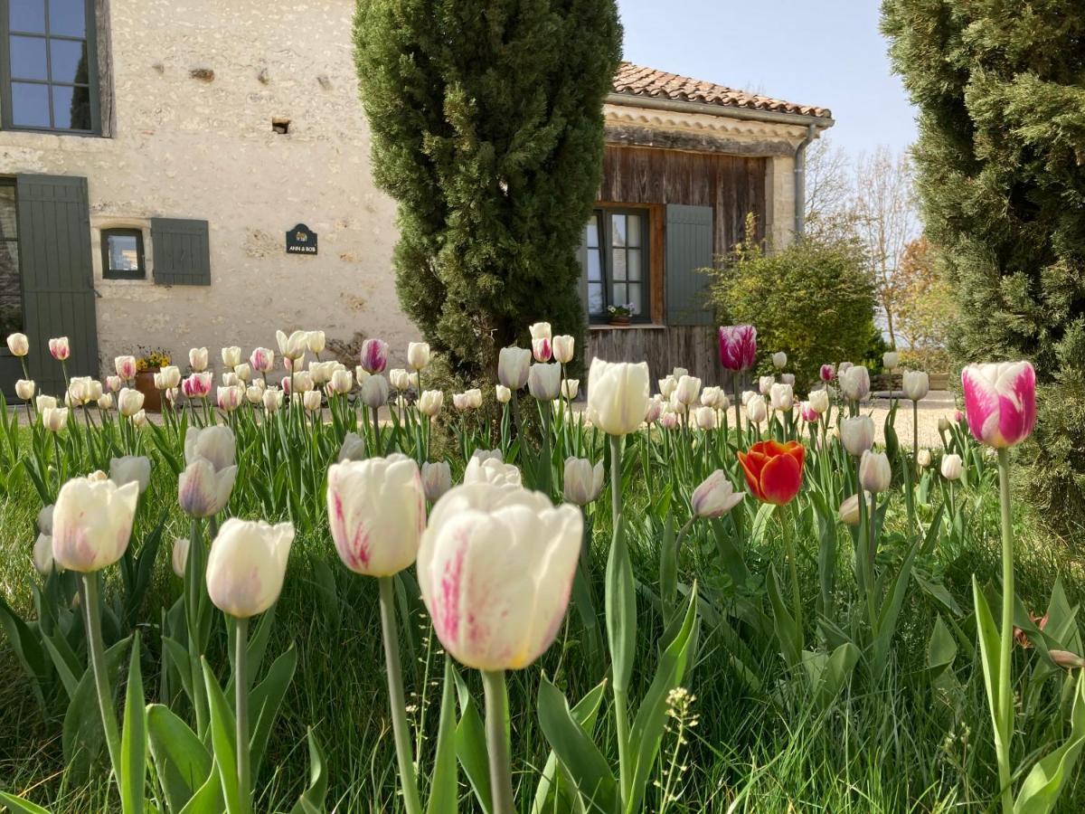 La Ferme Buissonniere Bed & Breakfast Bardou Luaran gambar