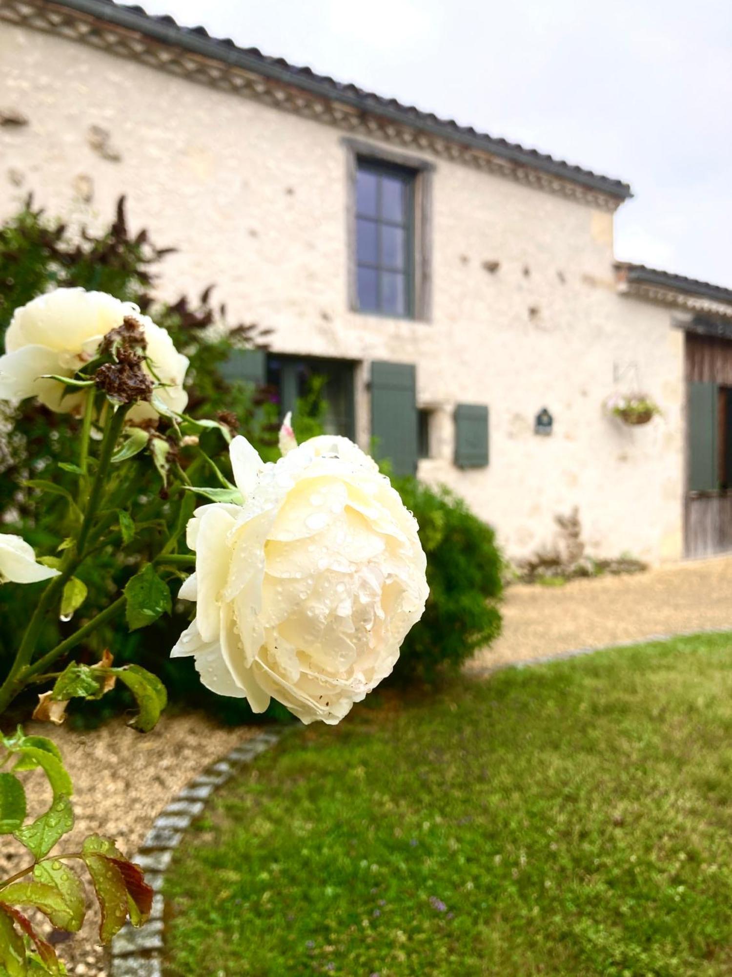 La Ferme Buissonniere Bed & Breakfast Bardou Luaran gambar