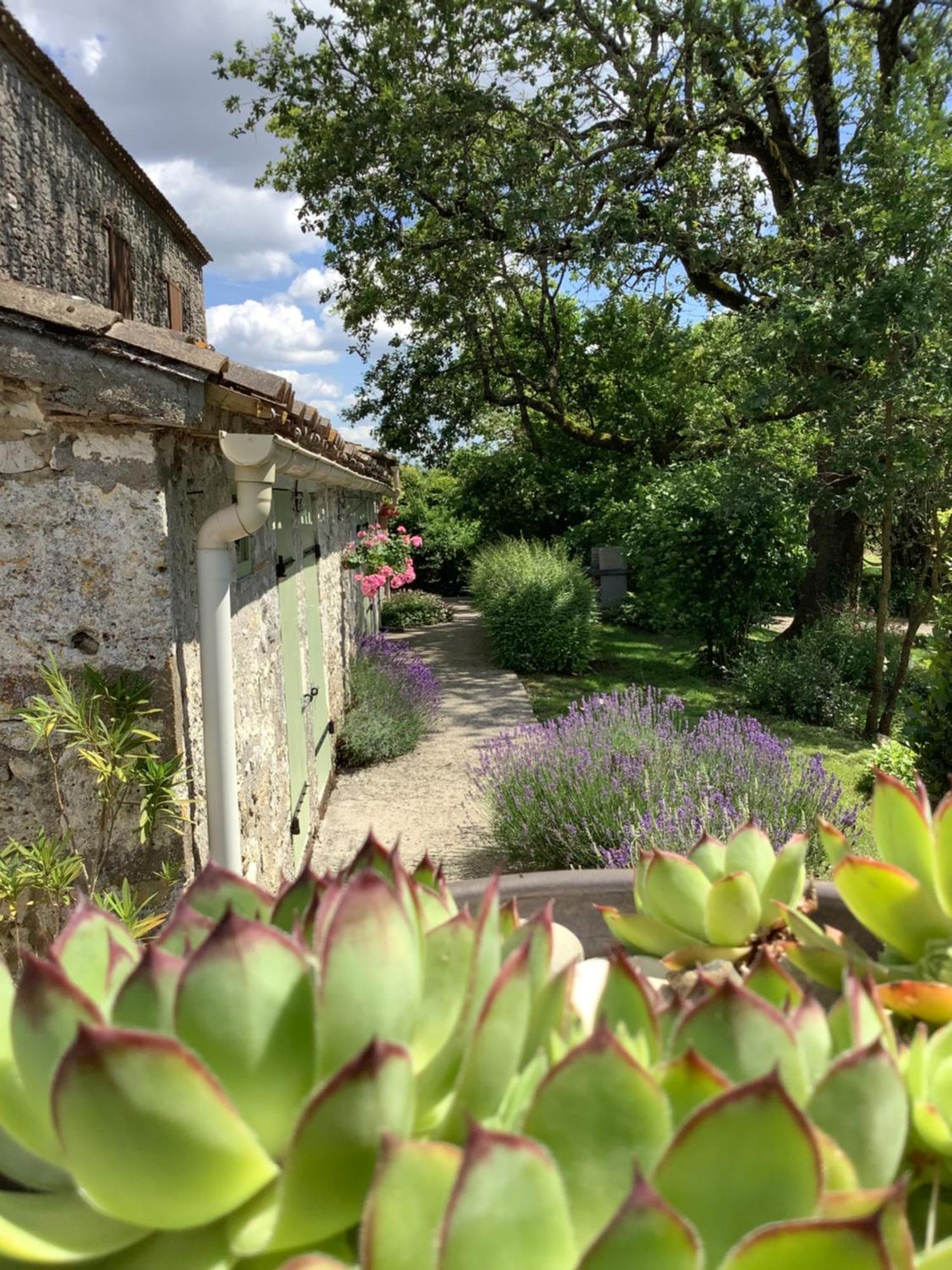 La Ferme Buissonniere Bed & Breakfast Bardou Luaran gambar