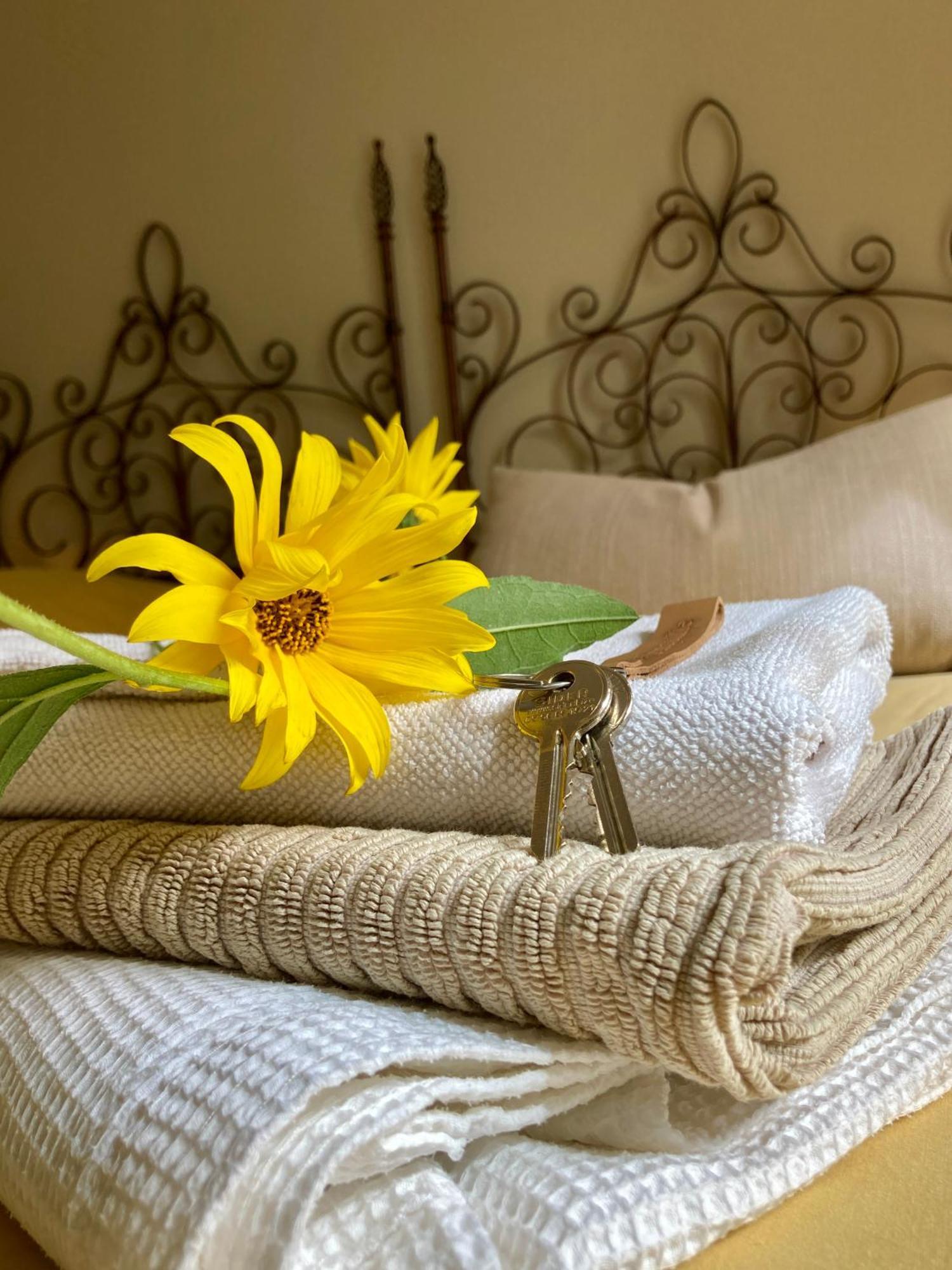 La Ferme Buissonniere Bed & Breakfast Bardou Luaran gambar